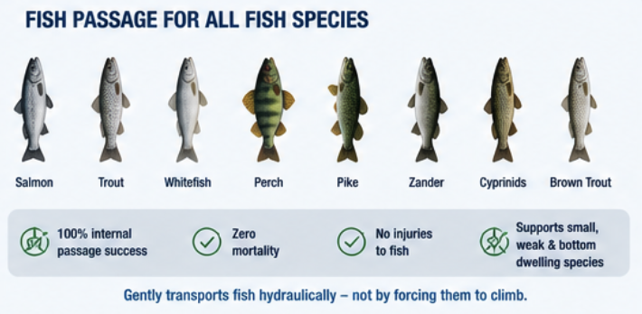 fish passage all species.png